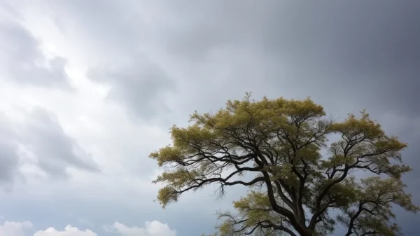 Hay alerta amarilla por viento zonda para este sábado 19 de septiembre en La Rioja: las zonas afectadas 1 Hay alerta amarilla por viento zonda para este sábado 19 de septiembre en La Rioja: las zonas afectadas