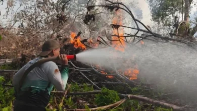 Hukum, dari tersangka karhutla hingga tambang ilegal di Bangka