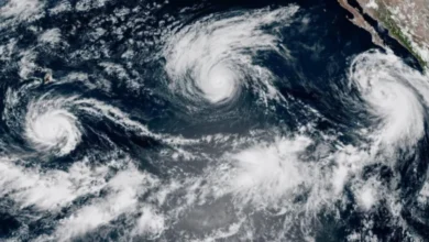 Hurricane Lowell remains