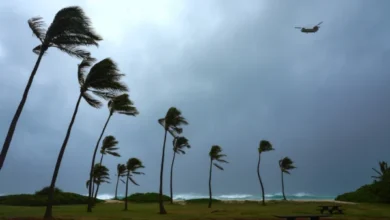 Hurricane Lowell slams