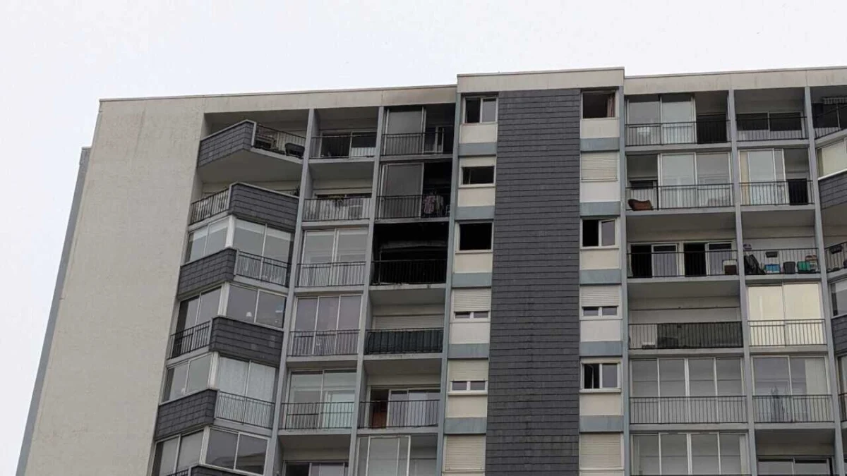 « Il y a le feu chez mamie ! » : à Vannes, un incendie se déclare au 11e étage d’un immeuble 1 « Il y a le feu chez mamie ! » : à Vannes, un incendie se déclare au 11e étage d’un immeuble