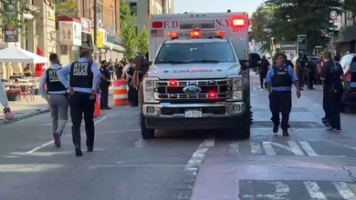 Two Shot Near: Two Shot Near West Indian Day Parade in Brooklyn; Suspect Arrested and Gun Recovered