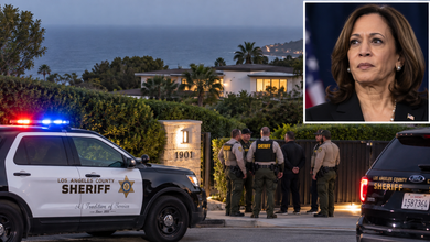 Trespasser Stopped at Kamala Harris’ Malibu Home as Security Concerns Grow 6 Trespasser Stopped Kamala: Trespasser Stopped at Kamala Harris’ Malibu Home as Security Concerns Grow