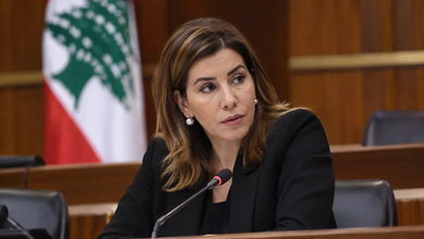 نائب لبولا يعقوبيان: نائب لبولا يعقوبيان: دورك مشاغب ومطلوب… فترد: يا ريت بس تساعدوني