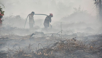 Wildfire: Hazardous Air Pollution Hits Palangkaraya as Wildfire Smoke Chokes Central Kalimantan