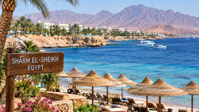 Russian Tourists Reported Sick at Sharm el-Sheikh Hotels as Authorities Seek Answers 3 Russian Tourists Reported: Russian Tourists Reported Sick at Sharm el-Sheikh Hotels as Authorities Seek Answers