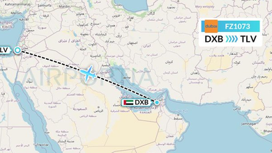Flydubai FZ1073 Dubai–Tel Aviv emergency: Pilot altercation reportedly triggered 7500 hijack code