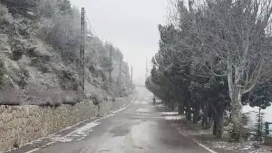 الأحد يحمل أمطارا: الأحد يحمل أمطاراً متفرقة وانخفاضاً بدرجات الحرارة