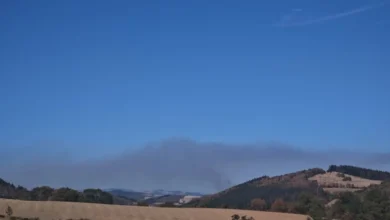Important incendie en cours dans le Beaujolais Vert : 120 pompiers et deux bombardiers d'eau déployés et lusieurs