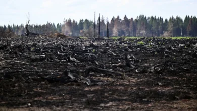 Incendie dans les Fagnes: la commune de Baelen se constitue partie civile après l'incendie des Fagnes