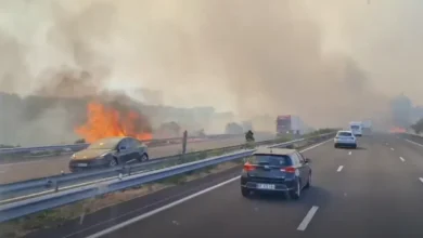 Incendie de Salles-d'Aude : l'homme à l'origine du feu qui a coupé l'A9 condamné à de la prison avec sursis