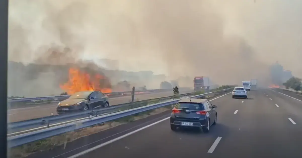 Incendie de Salles-d'Aude : l'homme à l'origine du feu qui a coupé l'A9 condamné à de la prison avec sursis 1 Incendie de Salles-d'Aude : l'homme à l'origine du feu qui a coupé l'A9 condamné à de la prison avec sursis