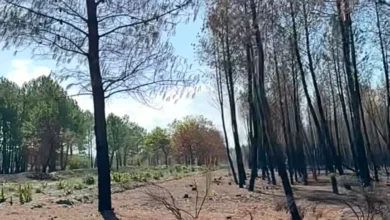 Incendie de Saumos – Le feu est désormais éteint 5 Incendie de Saumos – Le feu est désormais éteint