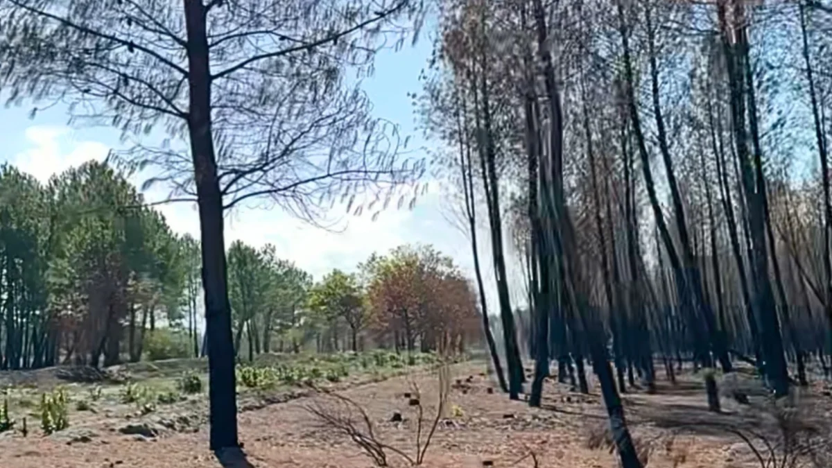 Incendie de Saumos – Le feu est désormais éteint