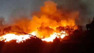 Incendio en Sarandí: trabajan ocho dotaciones y el humo afecta la autopista Buenos Aires-La Plata