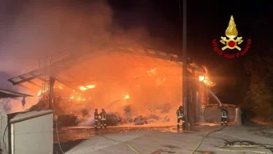 Incendio in un capannone agricolo nel vicentino, intervento dei vigili del fuoco - Notizie