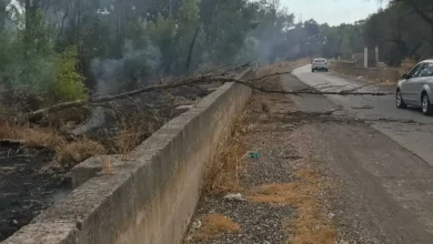 Incendio nella pineta di contrada Santoro a Oria: in fumo l 6 Incendio nella pineta di contrada Santoro a Oria: in fumo l