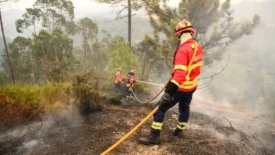 Incêndios: Cerca de 60 concelhos em perigo máximo no Norte, Centro e Algarve
