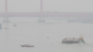 Indonesian wildfires caused
