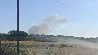 Indre : les pompiers luttent contre un incendie dans le secteur de Saint-Michel-en-Brenne
