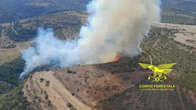 Ittiri, incendio tra bosco e pascoli: in azione i mezzi aerei 5 Ittiri, incendio tra bosco e pascoli: in azione i mezzi aerei