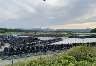 Japon : qui veut la terre « décontaminée » de Fukushima ? 2 Japon : qui veut la terre « décontaminée » de Fukushima ?