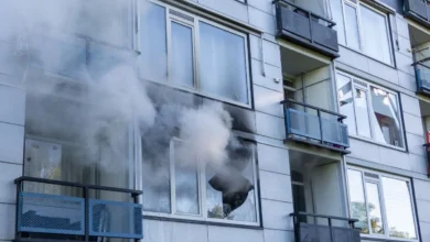 Kat overleden bij brand