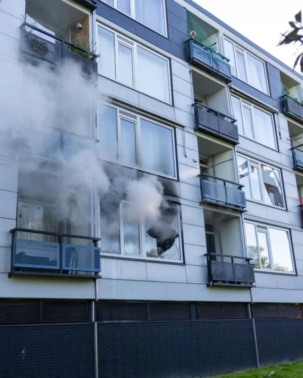 Kat overleden bij brand