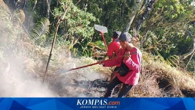 Kebakaran di Bukit Stampol TNGR Meluas, Area Terdampak Capai 723 Hektar 5 Kebakaran di Bukit Stampol TNGR Meluas, Area Terdampak Capai 723 Hektar