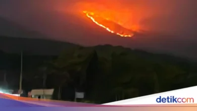 Kebakaran di Gunung Rinjani Capai 1.098 Hektare