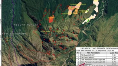 Kebakaran lahan di Bukit Setampol Rinjani meluas hingga 723,7 hektare