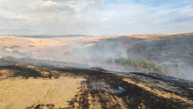 Konya Yalıhüyük'te çıkan orman yangını söndürüldü, soğutma çalışmaları sürüyor 4 Konya Yalıhüyük'te çıkan orman yangını söndürüldü, soğutma çalışmaları sürüyor