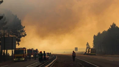 La Gironde en alerte orange pour le risque de feu de forêt