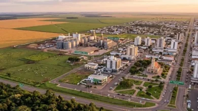 La otra cara del boom brasileño: Cómo la explosión agrícola de los últimos 20 años cambió el mapa, hizo crecer ciudades y