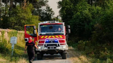 Landes : Une centaine d’hectares de végétation détruits par un incendie près de Mimizan