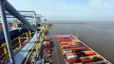 Las actividades en la Terminal Cuenca del Plata del Puerto de Montevideo se encuentran interrumpidas debido a un paro de trabajadores y a la instalación de una guardia gremial.