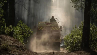 "Le facteur climatique, oui mais bon...", la prise de conscience écolo attendra sur les lieux de l'incendie en Gironde