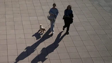 Le vaccin canin le plus vendu en Russie est lié à une série de décès d'animaux dans tout le pays