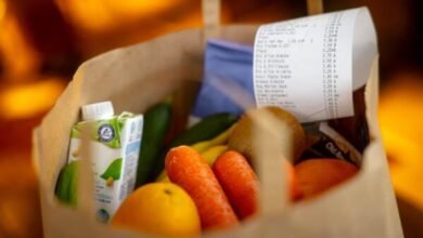 Weltweite Lebensmittelpreise steigen: Weltweite Lebensmittelpreise steigen auf höchsten Stand seit 2022