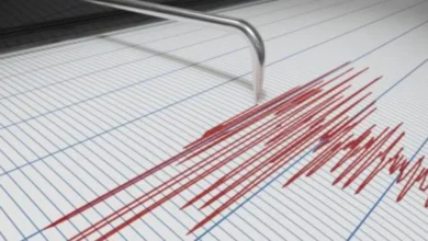 Leggera scossa di terremoto a Pignola 7 Leggera scossa di terremoto a Pignola