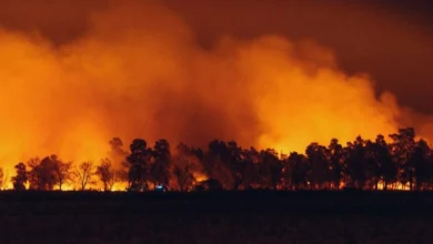 Les Pennes-Mirabeau : un incendie se déclare près d'habitations après des tirs de feux 2 Les Pennes-Mirabeau : un incendie se déclare près d'habitations après des tirs de feux