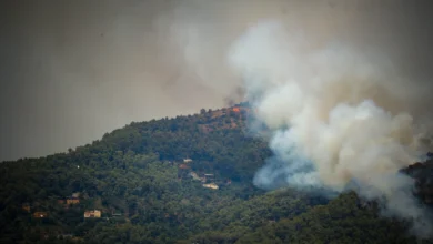 Los incendios en Barcelona aumentan un 24% y se multiplica por siete la superficie quemada