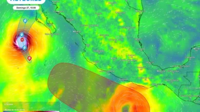L’ouragan Polo s'approche de la Basse-Californie du Sud. La tempête Rachel provoque des pluies sur la côte pacifique 3 L’ouragan Polo s'approche de la Basse-Californie du Sud. La tempête Rachel provoque des pluies sur la côte pacifique