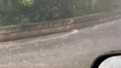 Maltempo in Puglia, grandinata a Santa Cesarea Terme: allerta gialla in Salento e sullo Ionio 5 Maltempo in Puglia, grandinata a Santa Cesarea Terme: allerta gialla in Salento e sullo Ionio