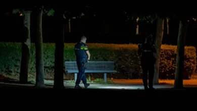 Man (45) en minderjarige opgepakt voor schietpartij in park