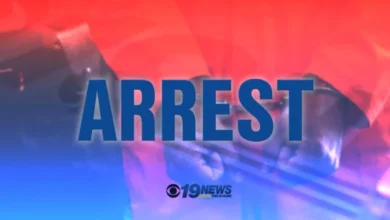 Man arrested damaging