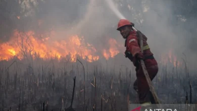Manggala Agni dan tim gabungan padamkan kebakaran lahan di Ogan Ilir