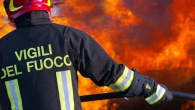 Maxi incendio distrugge uliveto e minaccia abitazioni