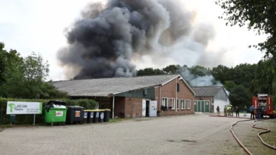 Meerdere loodsen in brand in Overloon, flinke rookpluim 7 Meerdere loodsen in brand in Overloon, flinke rookpluim