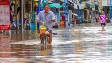 Mekong Deltası'ndaki seller, yüksek gelgitlerle birleşerek en yüksek seviyesine ulaştı ve birçok bölgede ciddi su